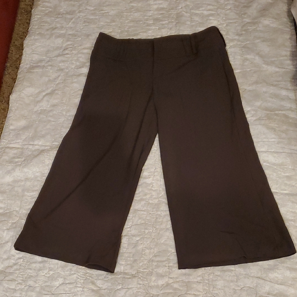Metallic Stripe & Brown Wide-Leg Capri Pants sz 5 Dress Business Casual